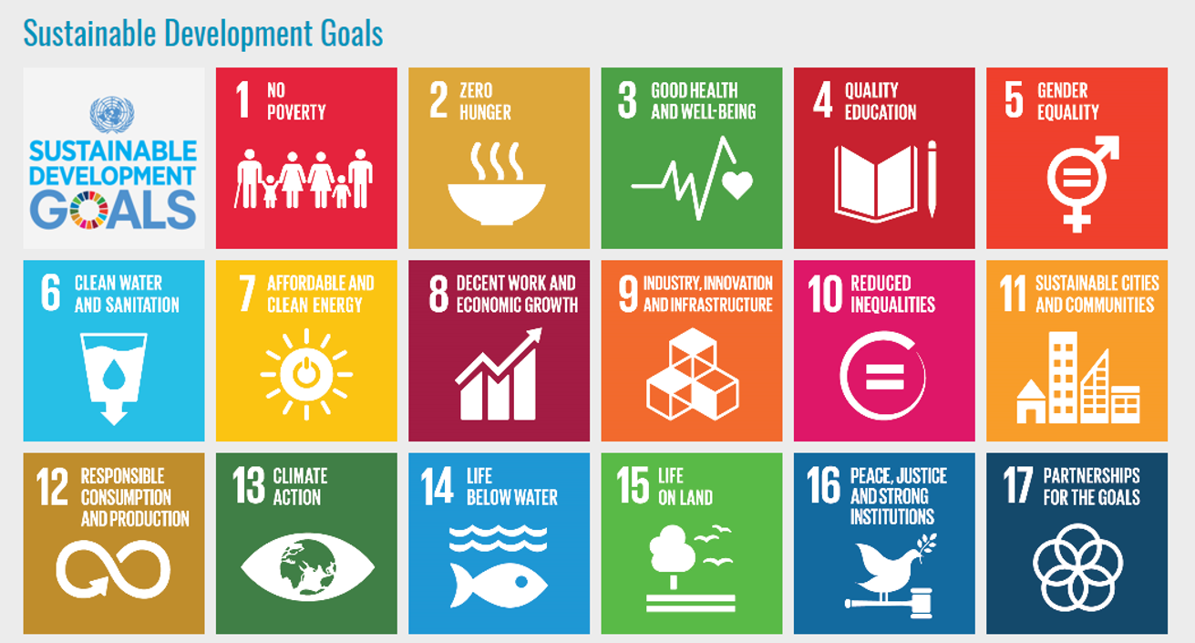 17 development goals of the united nations