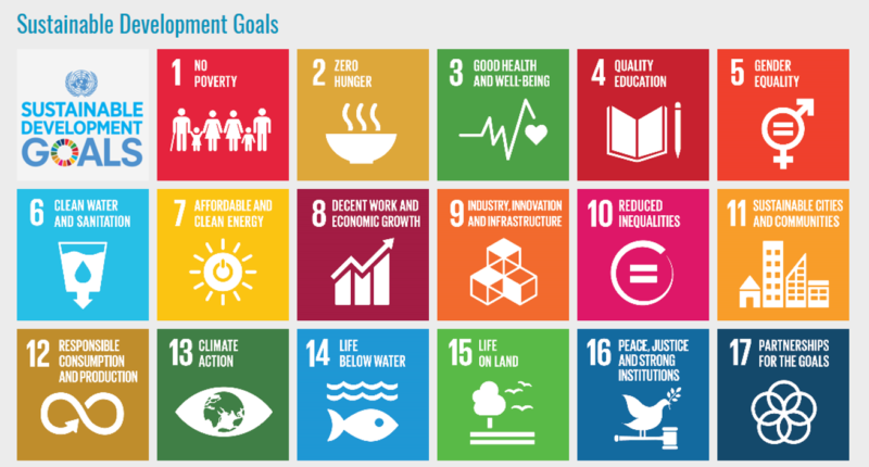the united nations has adopted 17 sustainable development goals composed of
